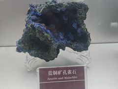 -甘肃地质博物馆