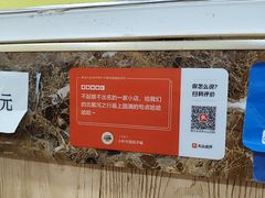 -小叶大馅饺子城