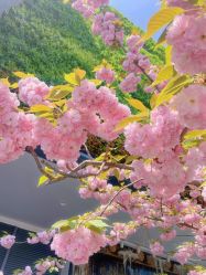 -WAVE SODA摄影工作室