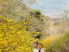 -香山公园