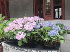 -哈尔滨极乐寺