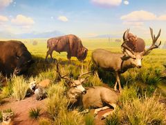 -陕西自然博物馆