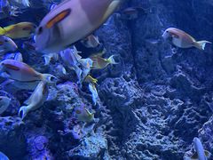 -成都浩海立方海洋公园