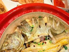 -1937青岛老味道·海肠捞饭·青岛菜(大鲍岛栈桥店)