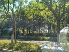 -上海海事大学(临港校区)