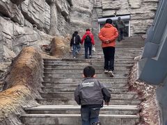 -辽宁古生物博物馆