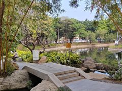 -晓港公园