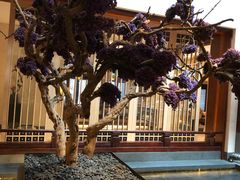 -西安华清御汤酒店