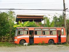 -黄色小屋
