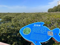 -北海金海湾红树林生态旅游区