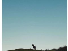 -中国银行(南京花园路支行)