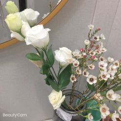 -苗方清颜专业祛痘·皮肤管理