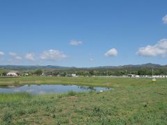 -敕勒川草原
