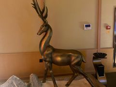 -蓝鲸湾汤泉(包河店)