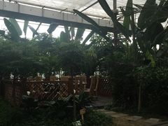 -汤山翠谷生态餐厅