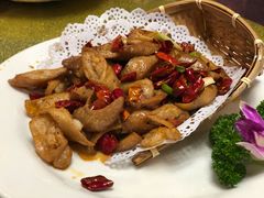 -丁老爷子苏香圆