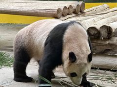 -杭州野生动物世界