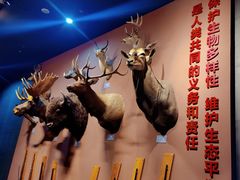 -浙江自然博物院(杭州馆)