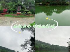 -广州白江湖森林公园