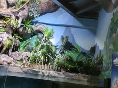 -萌宠奇缘(荣鼎店)