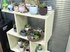 -想家粒科学探索中心(青林湾店)