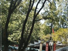 -宁波市保国寺古建筑博物馆