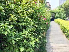-成都市活水公园