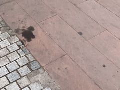 -兵立王鲜果茶·奶茶(文庙店)