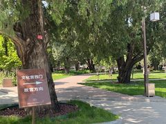 -北京市劳动人民文化宫(太庙)