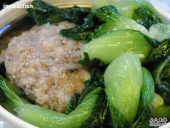 Ww&nbsp;002-仁信双皮奶(庙前直街店)