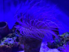 -上海海洋水族馆