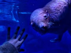 -上海海昌海洋公园-冰山北极馆