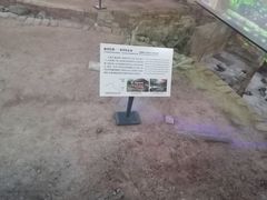 -南越王博物院(王宫展区)