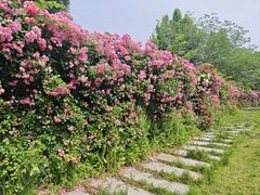 -太阳宫公园