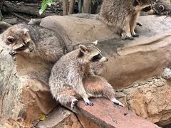 -长鹿旅游休博园