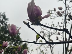 -柳侯公园