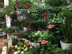 -三旗百汇商品城