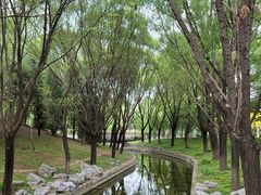 -大望京公园