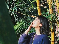 -人民公园(罗湖区)