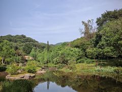-云溪植物园