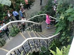 -北京植物园-展览温室