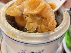 黑蒜竹丝鸡炖花胶-黄祥华养生堂·炖汤·营养蒸饭(岭南天地店)