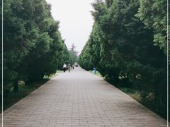 -秦始皇帝陵博物院-丽山园