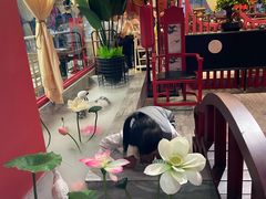 -禧鳳記·猪肚鸡火锅(玖洲道店)