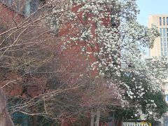 -浙江大学(玉泉校区)