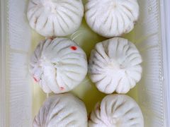 肉茴香包子-陈傻子餐厅(世纪都会店)