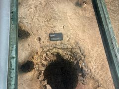 -南越王博物院(王宫展区)