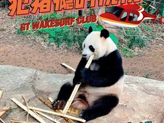 -广州长隆野生动物世界