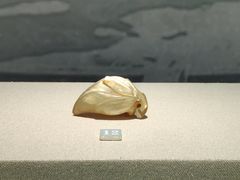 -中国江南水乡文化博物馆