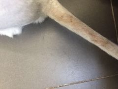 -沐沐家宠物(成寿寺店)